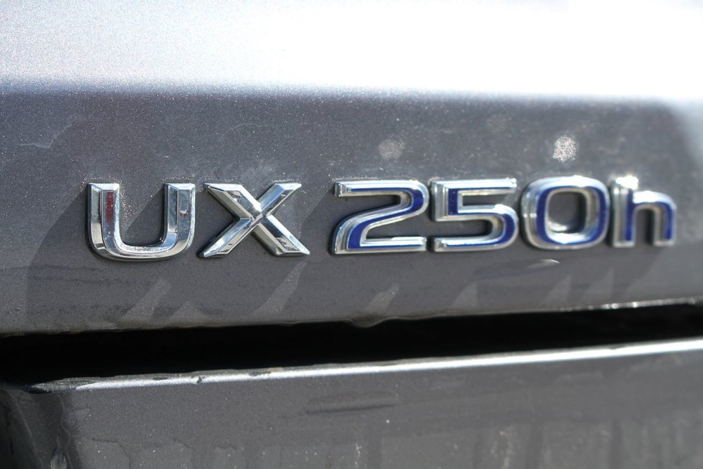 2022  UX 250h in , Quebec - 11 - w1024h768px