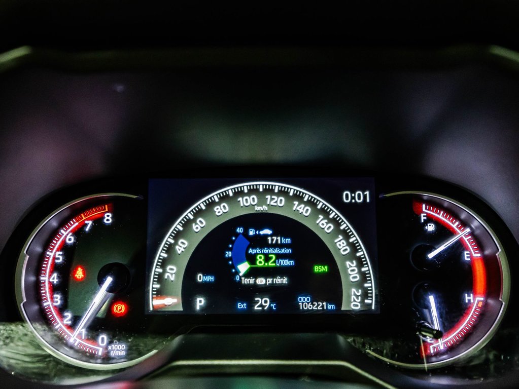 2019 Toyota RAV4 Limited in Lachenaie, Quebec - 25 - w1024h768px