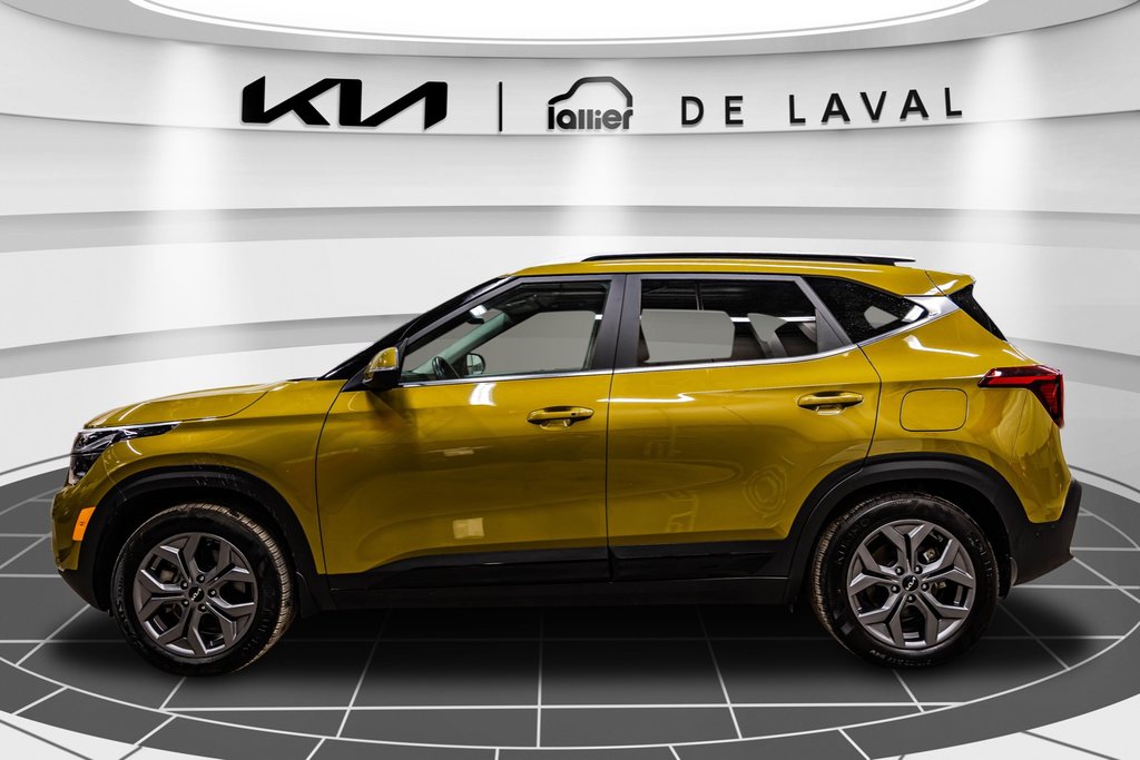 Kia Seltos EX 2024 à Montréal, Québec - 7 - w1024h768px