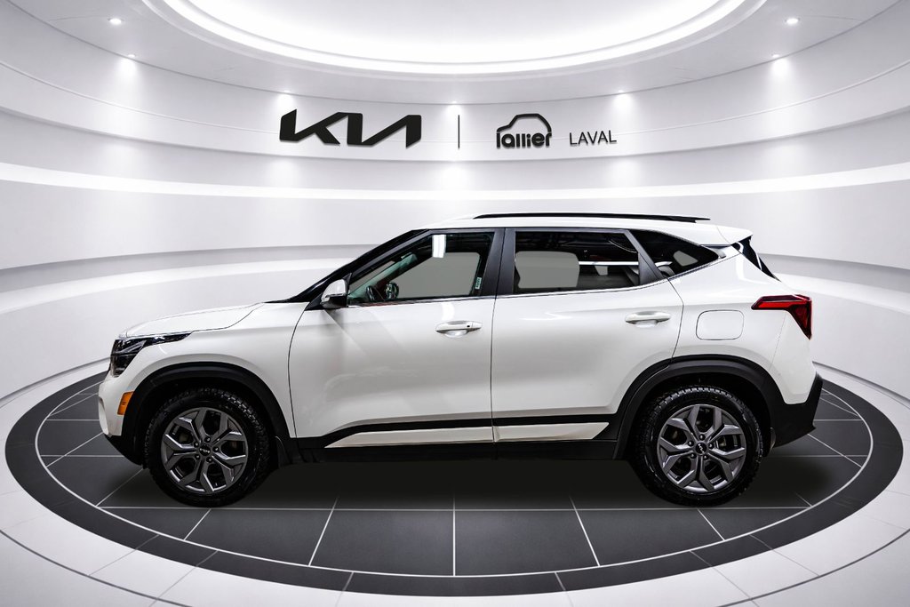 Kia Seltos EX 2024 à Montréal, Québec - 4 - w1024h768px
