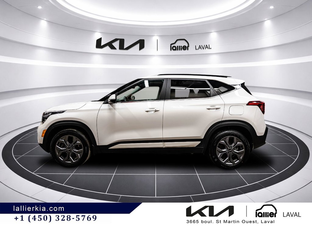 Kia Seltos EX 2024 à Montréal, Québec - 4 - w1024h768px