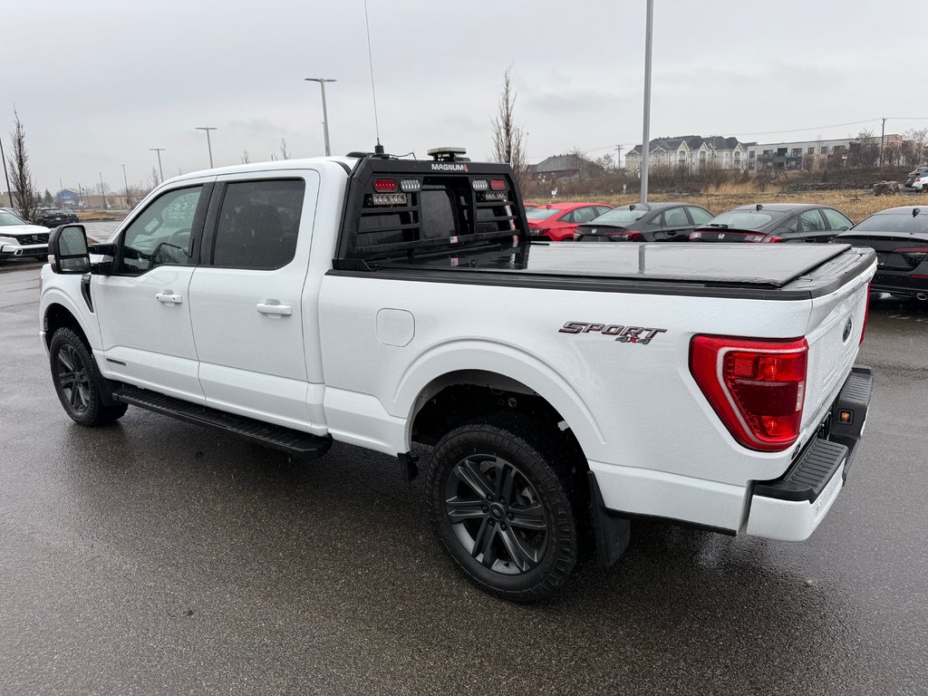 Ford F-150 XLT SUPERCREW 2023 à Lachenaie, Québec - 3 - w1024h768px