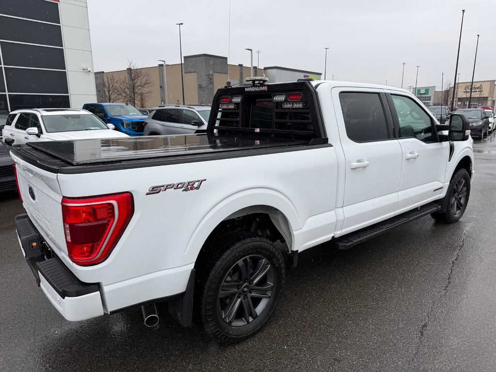 Ford F-150 XLT SUPERCREW 2023 à Lachenaie, Québec - 6 - w1024h768px