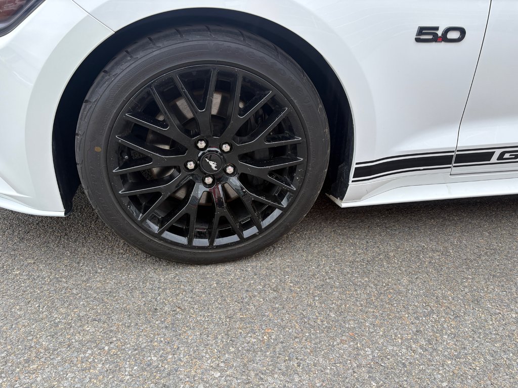 Ford Mustang GT  2015 à Lachenaie, Québec - 7 - w1024h768px