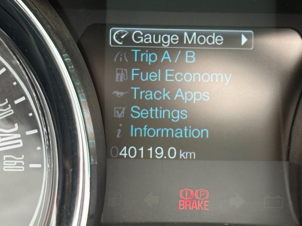 2014 Ford Mustang GT CALIFORNIA EDITION in Lachenaie, Quebec - 11 - w1024h768px