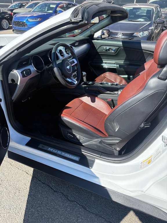 Ford Mustang EcoBoost Premium 2015 à Lachenaie, Québec - 7 - w1024h768px