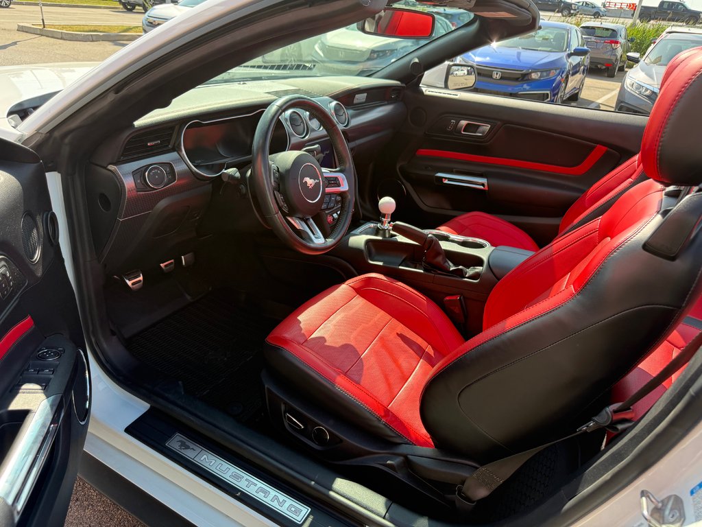 2019 Ford Mustang GT Premium in , Quebec - 8 - w1024h768px