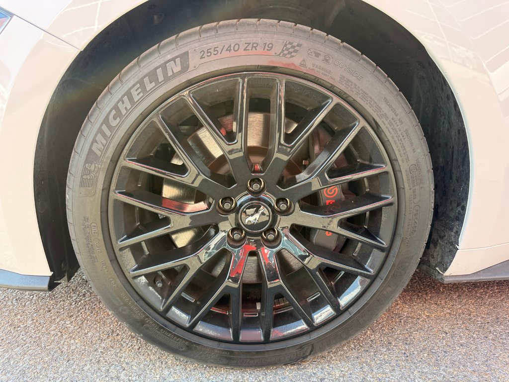 2019 Ford Mustang GT Premium in , Quebec - 9 - w1024h768px