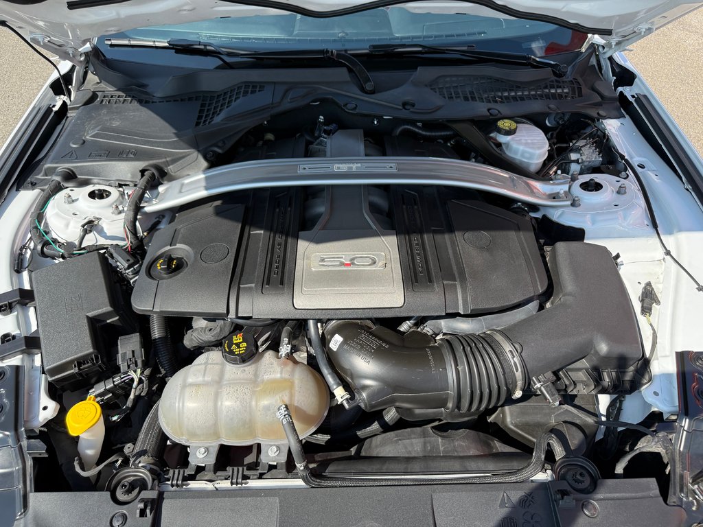 2019 Ford Mustang GT Premium in , Quebec - 10 - w1024h768px
