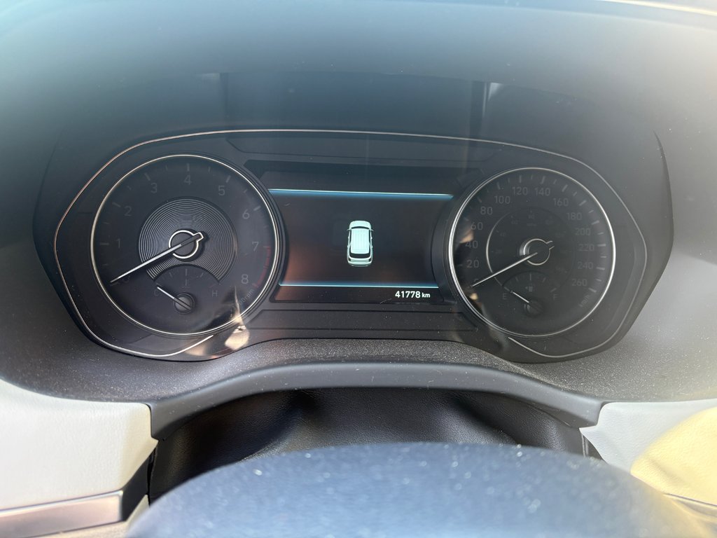 Hyundai Palisade Luxury 2020 à Lachenaie, Québec - 9 - w1024h768px