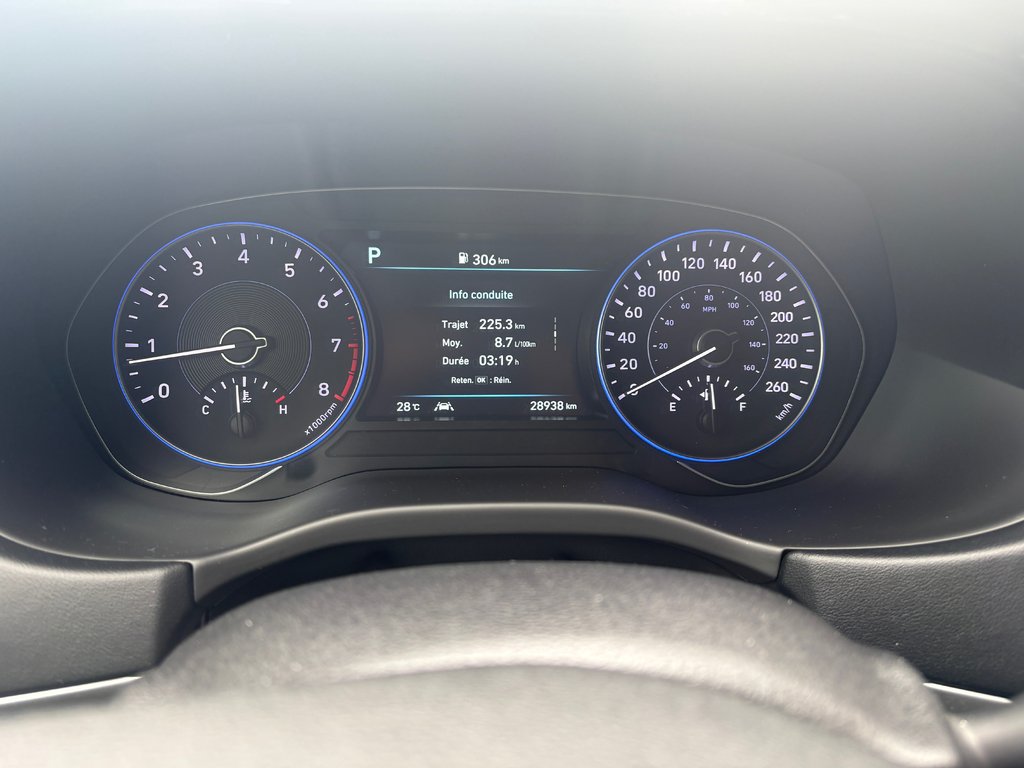 2020 Hyundai Palisade Luxury in Lachenaie, Quebec - 6 - w1024h768px