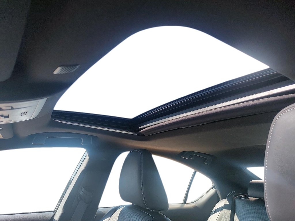 2025 Lexus IS in Sept-Îles, Quebec - 17 - w1024h768px