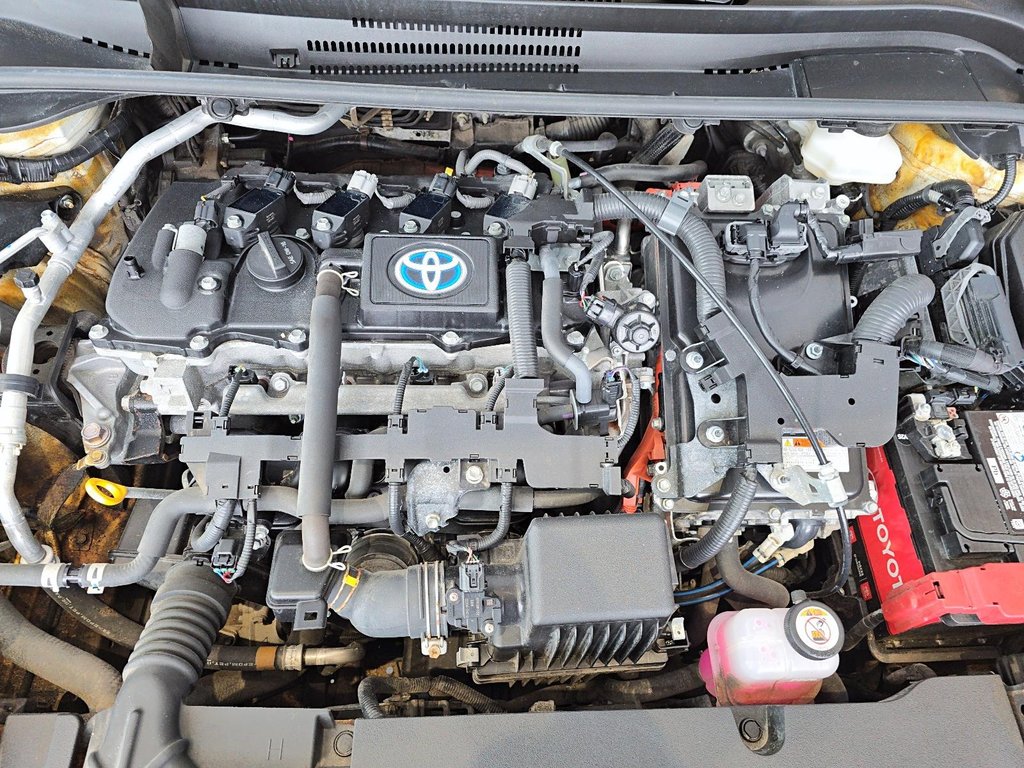 2024 Toyota Corolla in Baie-Comeau, Quebec - 7 - w1024h768px