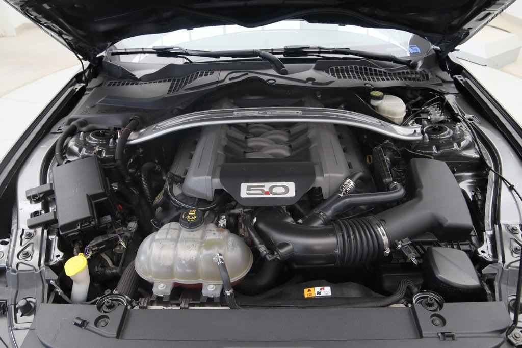 Ford Mustang  2017 à Jonquière, Québec - 15 - w1024h768px