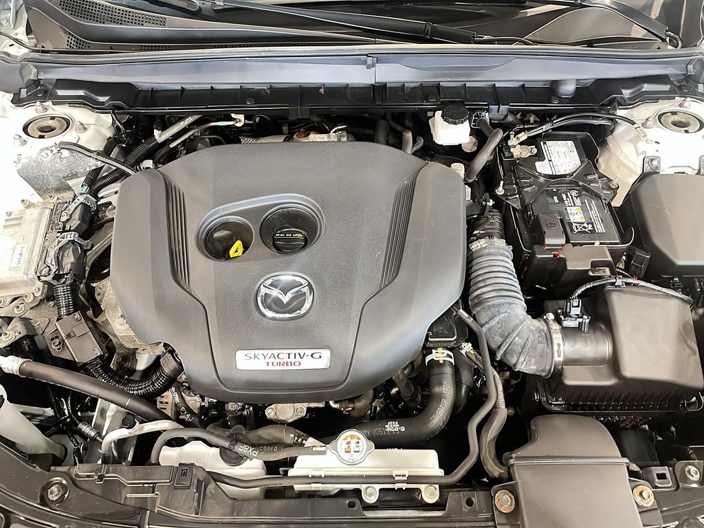 Mazda CX-50  2023 à Baie-Comeau, Québec - 7 - w1024h768px
