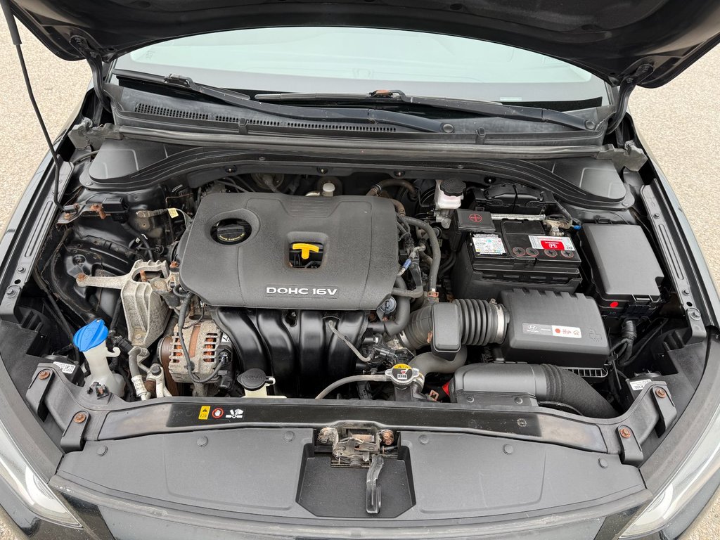 Hyundai Elantra GL 2017-2