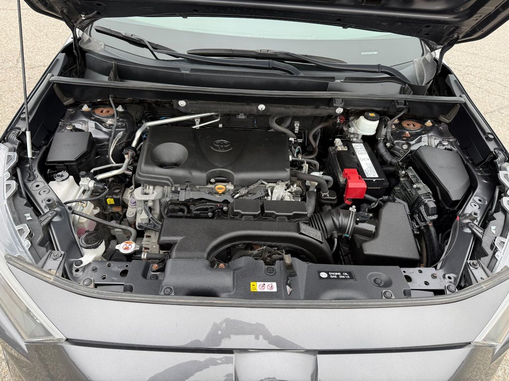 Toyota RAV4 LE 2019-2