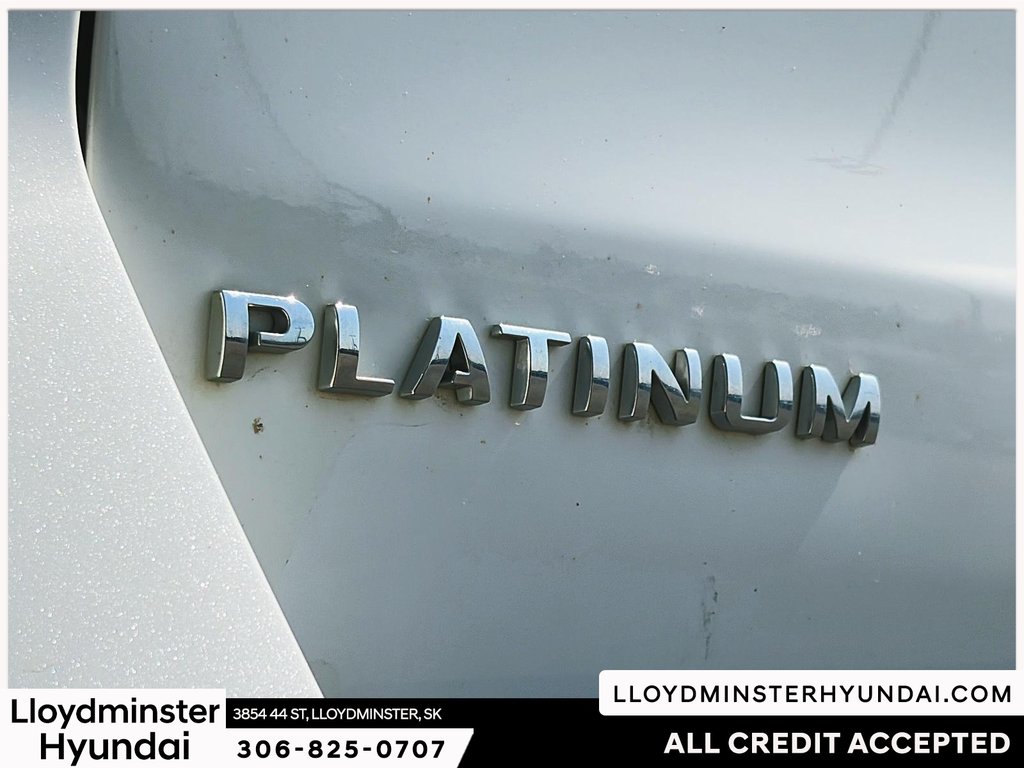 2023 Ford Expedition Max Platinum in Lloydminster, Saskatchewan - 25 - w1024h768px