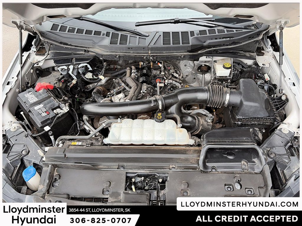 2024 Ford F-150 XLT in Lloydminster, Saskatchewan - 10 - w1024h768px