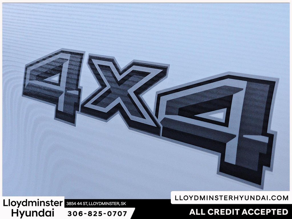 2025 Ford F-150 XLT in Lloydminster, Saskatchewan - 20 - w1024h768px