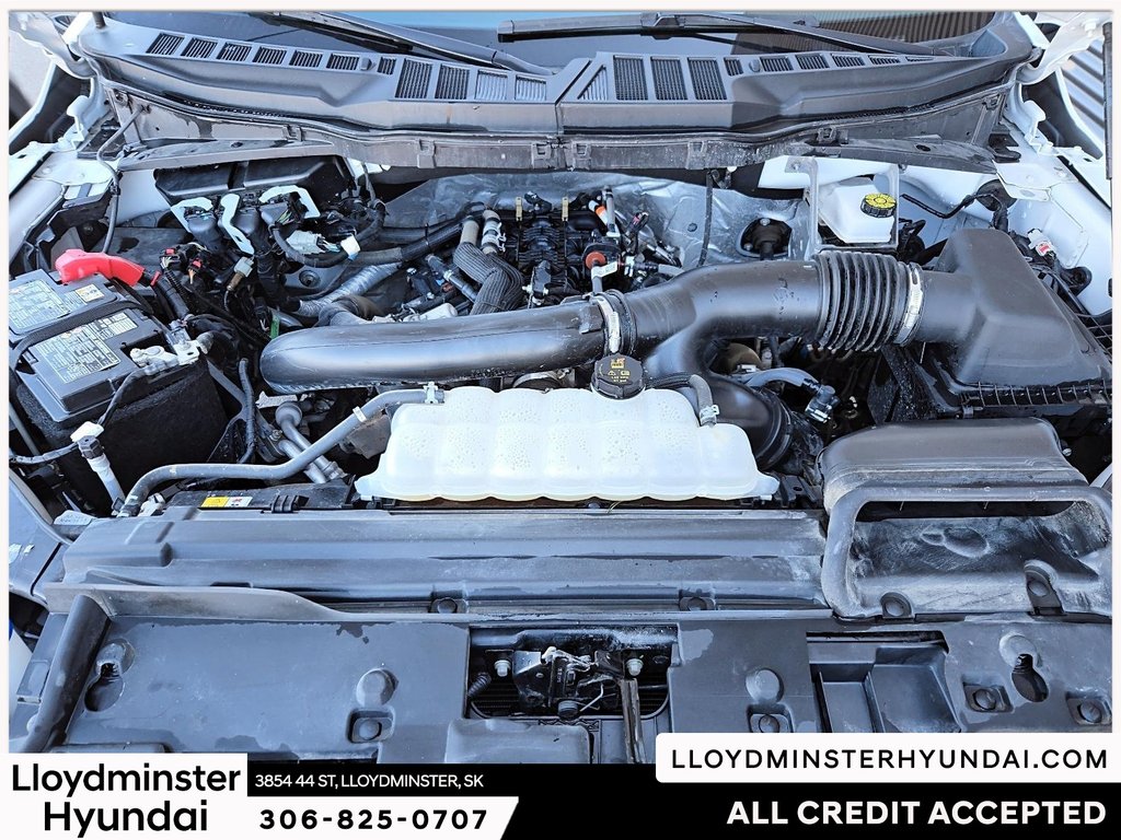 2025 Ford F-150 XLT in Lloydminster, Saskatchewan - 11 - w1024h768px