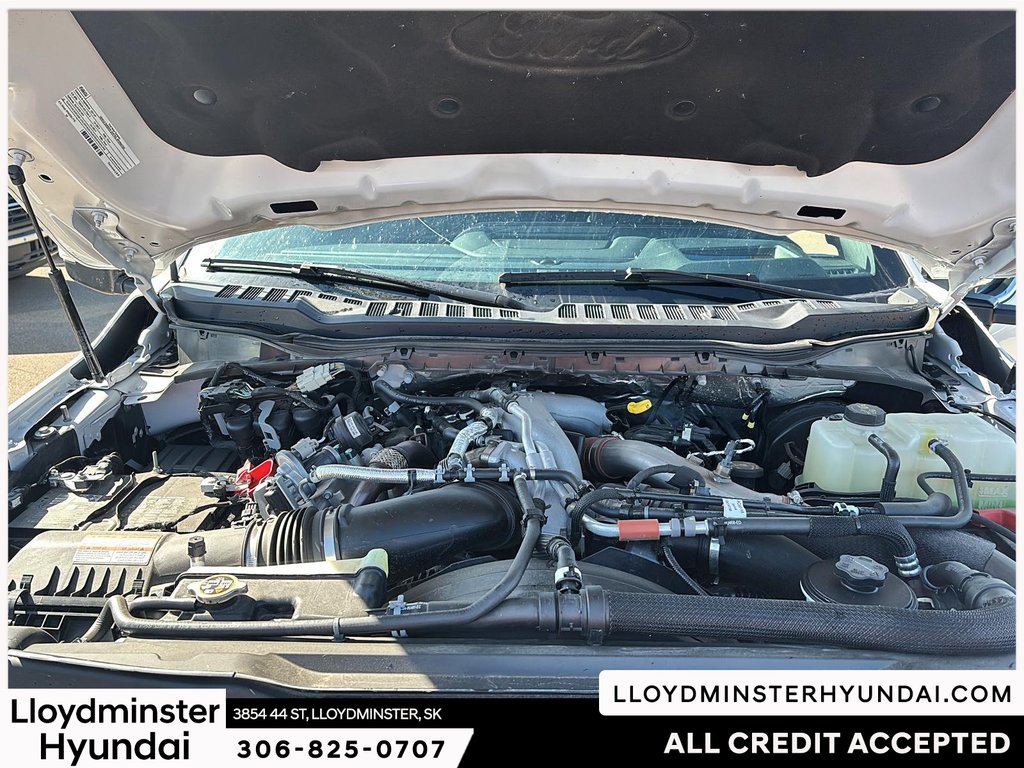 2024 Ford Super Duty F-350 SRW Platinum in Lloydminster, Saskatchewan - 9 - w1024h768px