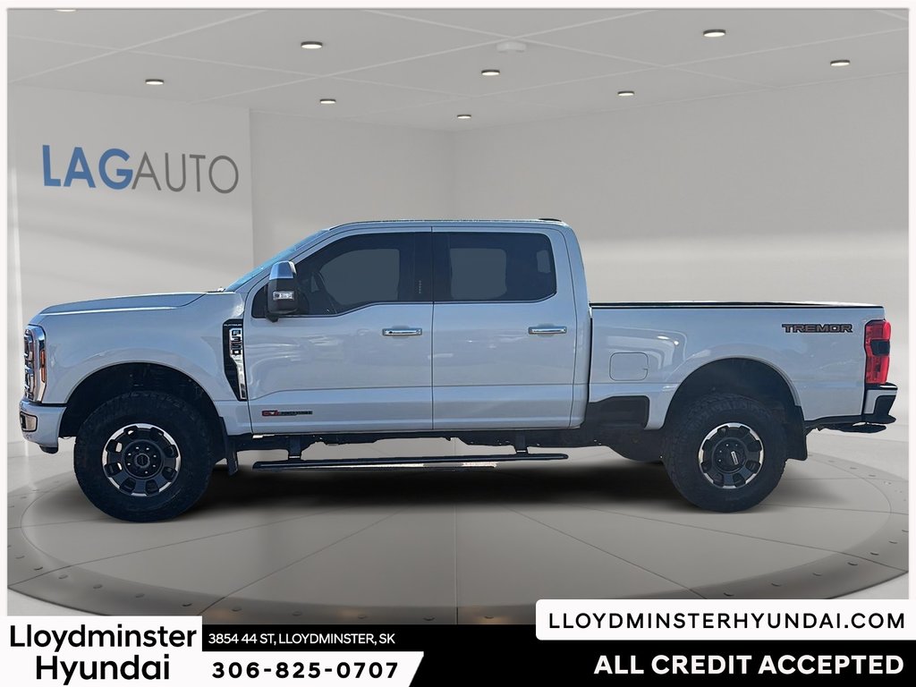 2024 Ford Super Duty F-350 SRW Platinum in Lloydminster, Saskatchewan - 8 - w1024h768px