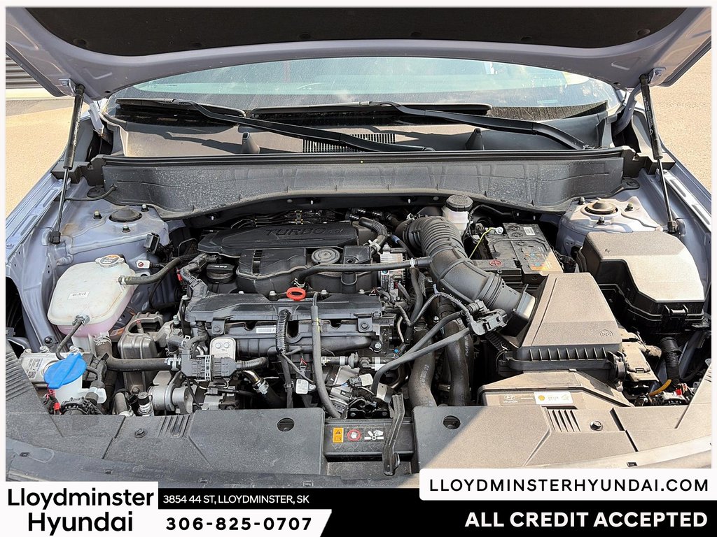 2025 Hyundai Kona 1.6T N Line in Lloydminster, Saskatchewan - 11 - w1024h768px