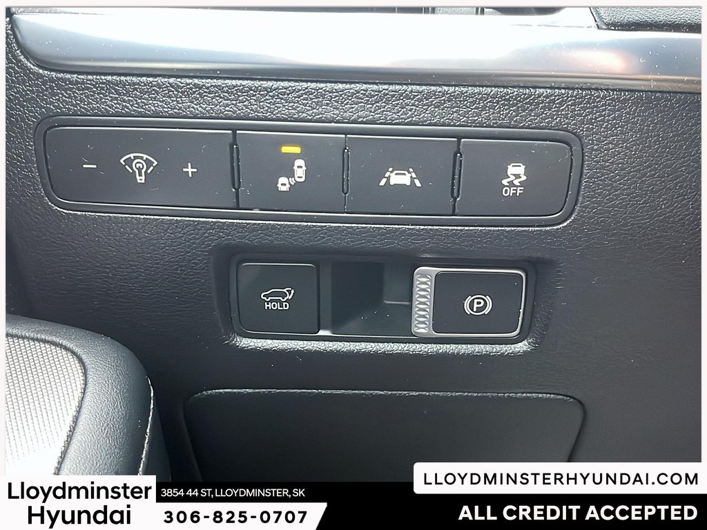 2020 Hyundai Palisade Ultimate in Lloydminster, Saskatchewan - 19 - w1024h768px