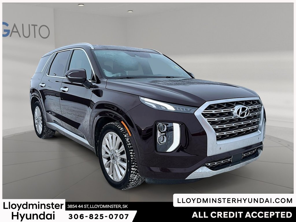 2020 Hyundai Palisade Ultimate in Lloydminster, Saskatchewan - 3 - w1024h768px