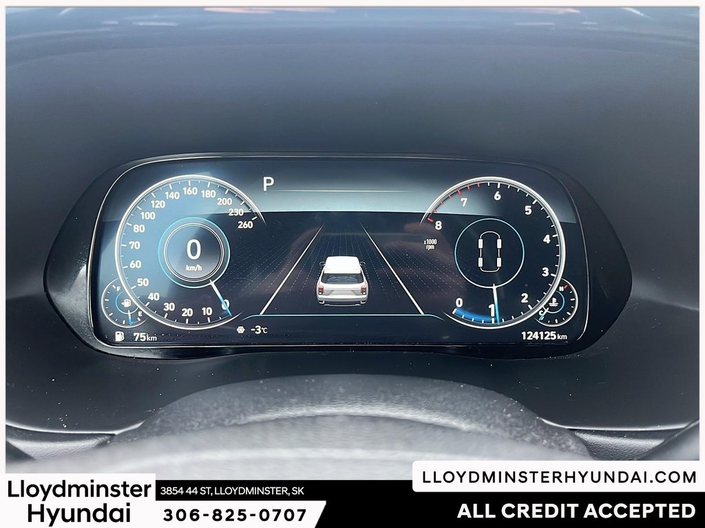 2020 Hyundai Palisade Ultimate in Lloydminster, Saskatchewan - 17 - w1024h768px