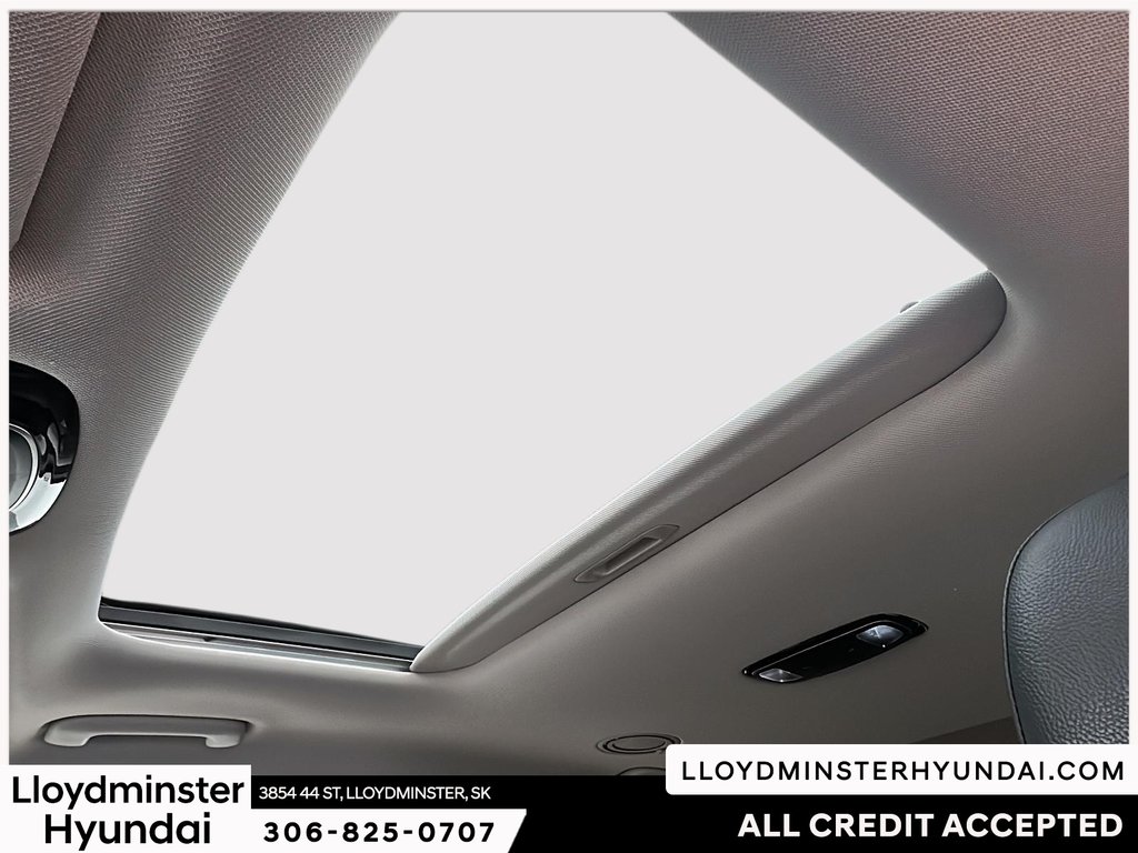 2020 Hyundai Palisade Luxury in Lloydminster, Saskatchewan - 18 - w1024h768px