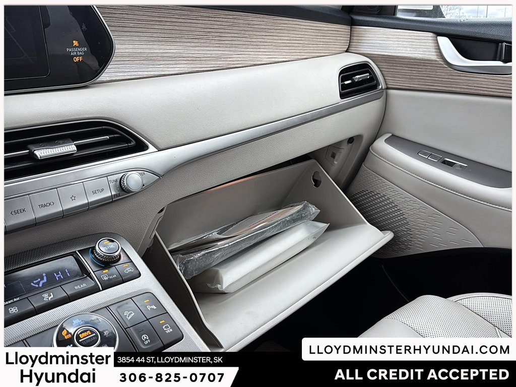 2021 Hyundai Palisade Luxury in Lloydminster, Saskatchewan - 19 - w1024h768px