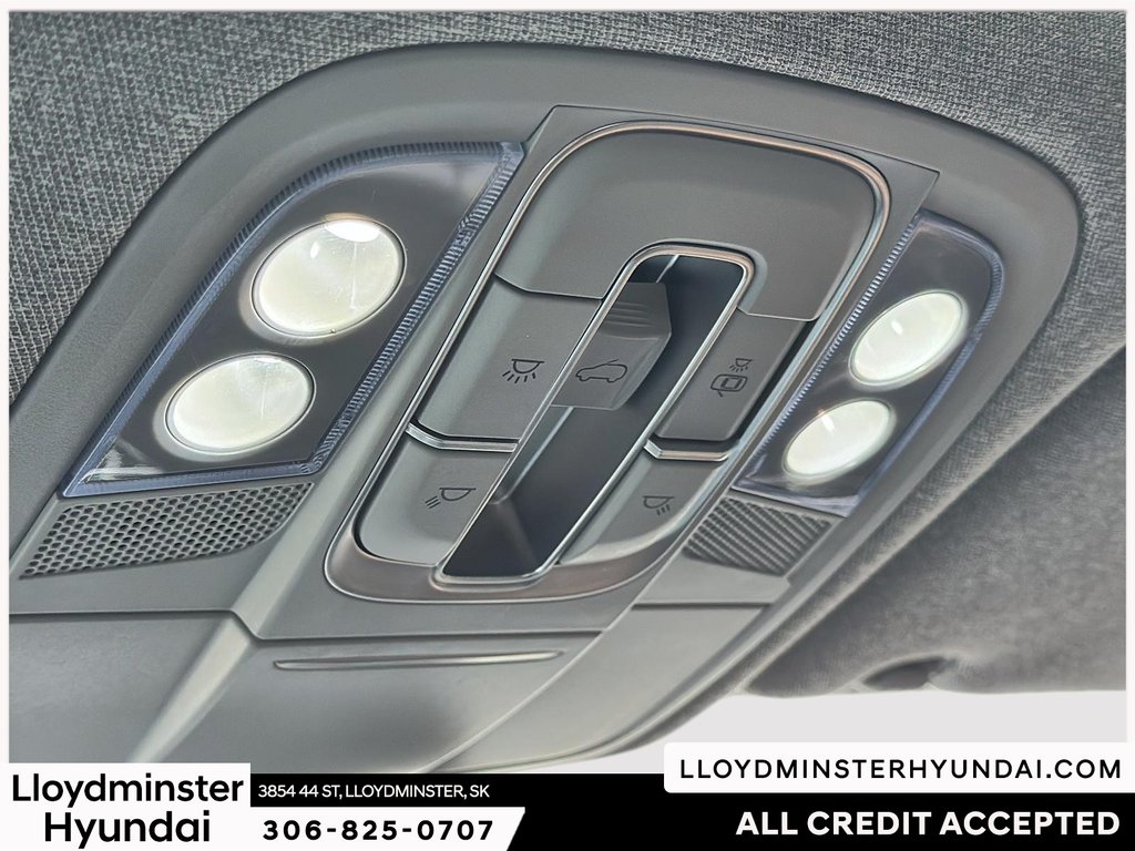 2019 Hyundai Santa Fe Luxury in Lloydminster, Saskatchewan - 20 - w1024h768px