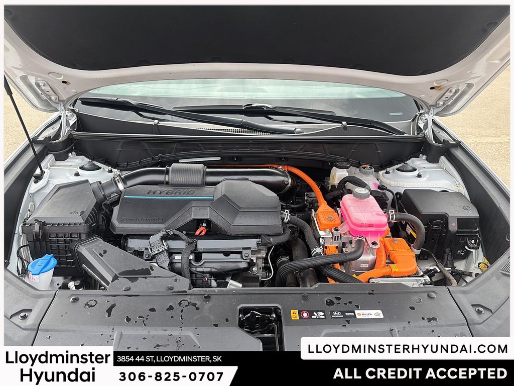 2024 Hyundai Tucson Hybrid in Lloydminster, Saskatchewan - 11 - w1024h768px