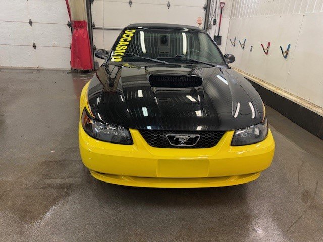 Ford Mustang GT 2004 à L'Étang-du-Nord, Québec - 4 - w1024h768px