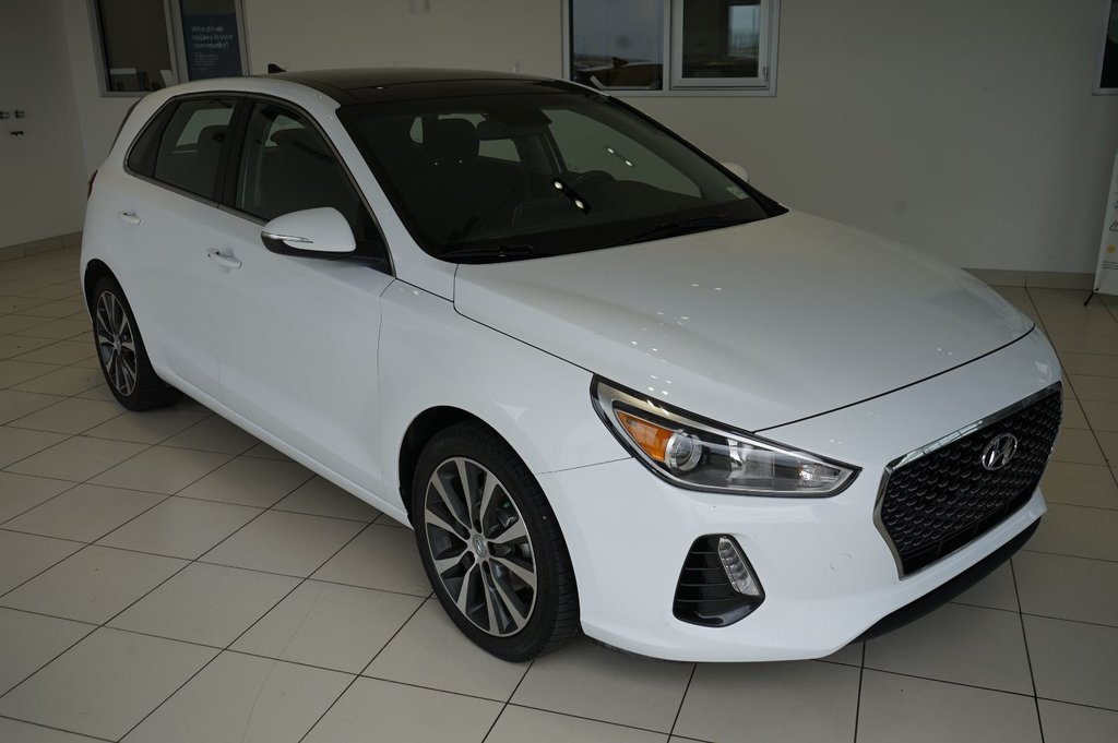 2019  Elantra GT Luxury in Leduc, Alberta - 8 - w1024h768px