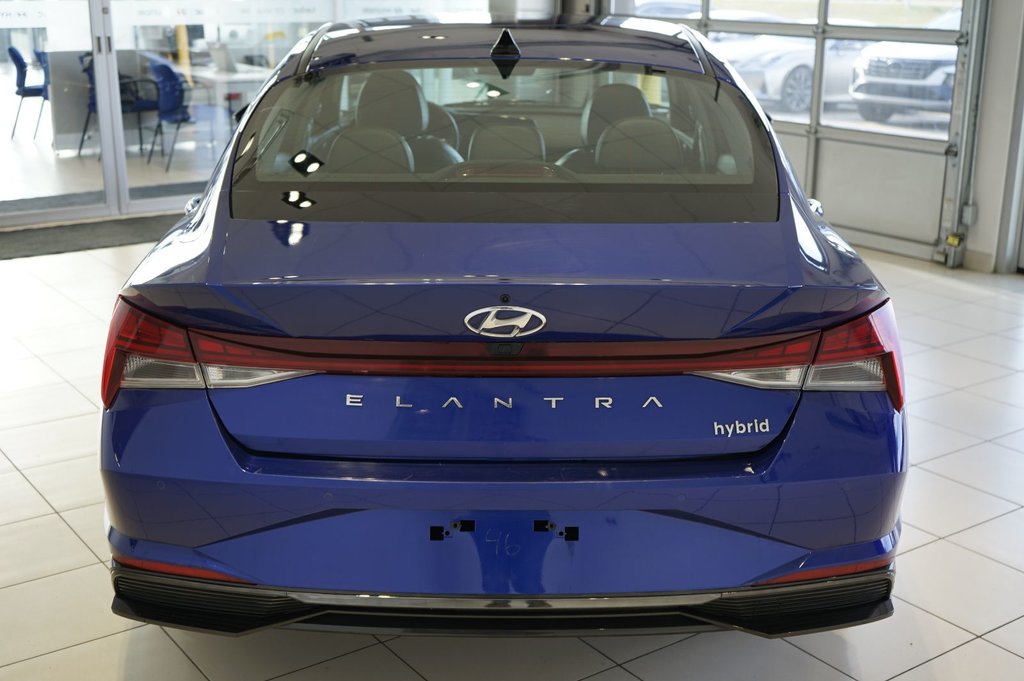 2023  Elantra Hybrid Luxury in Leduc, Alberta - 3 - w1024h768px