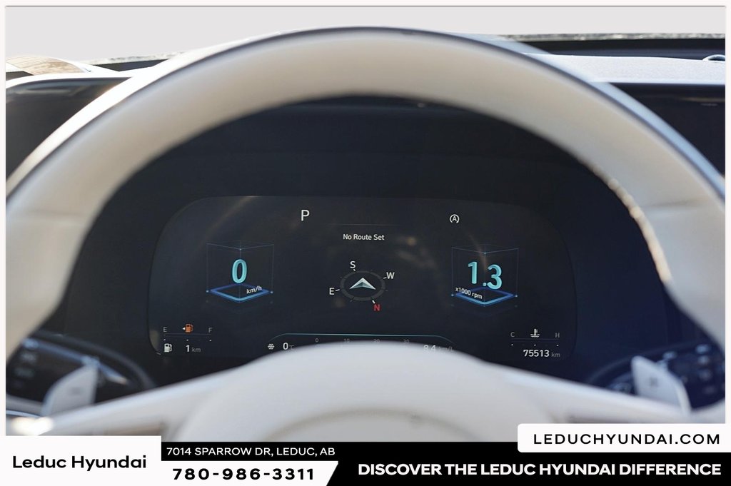 2023 Hyundai Palisade Ultimate Calligraphy in Leduc, Alberta - 17 - w1024h768px