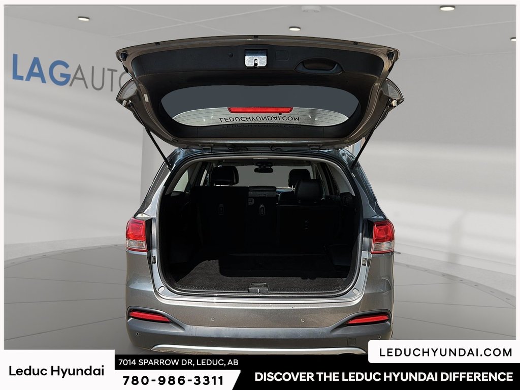 2017 Kia Sorento EX in Leduc, Alberta - 6 - w1024h768px