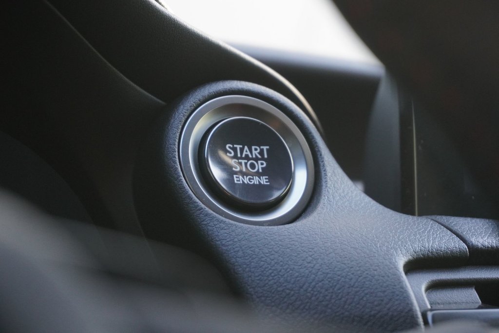 2024 Lexus IS 300 AWD F SPORT 3|M/LEVINSON|LFA CLUSTER|NAVI|S/S+ in Ajax, Ontario at Lexus of Lakeridge - 5 - w1024h768px