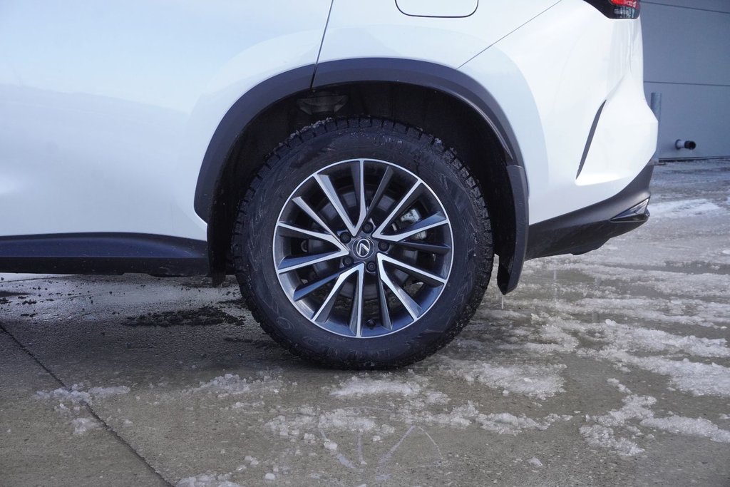 2025 Lexus NX 450h + ULTRA PREMIUM|H/V FRONT SEATS|MOONROOF|CARPLAY in Ajax, Ontario at Lexus of Lakeridge - 12 - w1024h768px