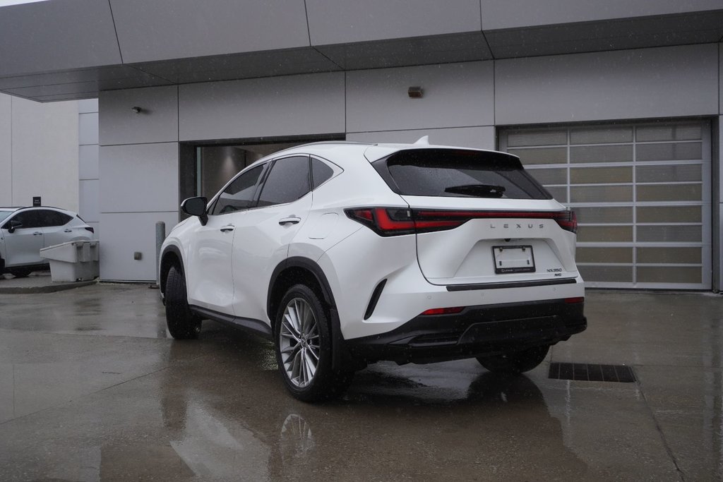 2022 Lexus NX 350 LUXURY|WIRELESS|14 DISPLAY|H/V FRONT SEATS in Ajax, Ontario at Lexus of Lakeridge - 14 - w1024h768px