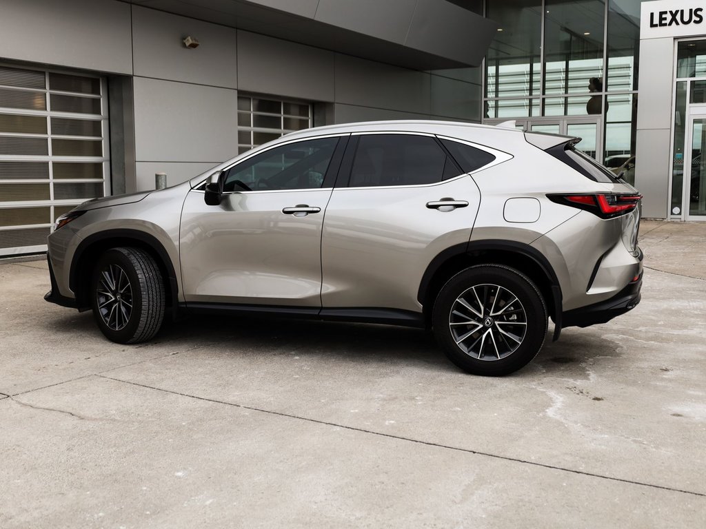 2024 Lexus NX 350 PREMIUM|MOONROOF|AMBIENT|BLINDSPOT|H/STEERING in Ajax, Ontario at Lakeridge Auto Gallery - 16 - w1024h768px