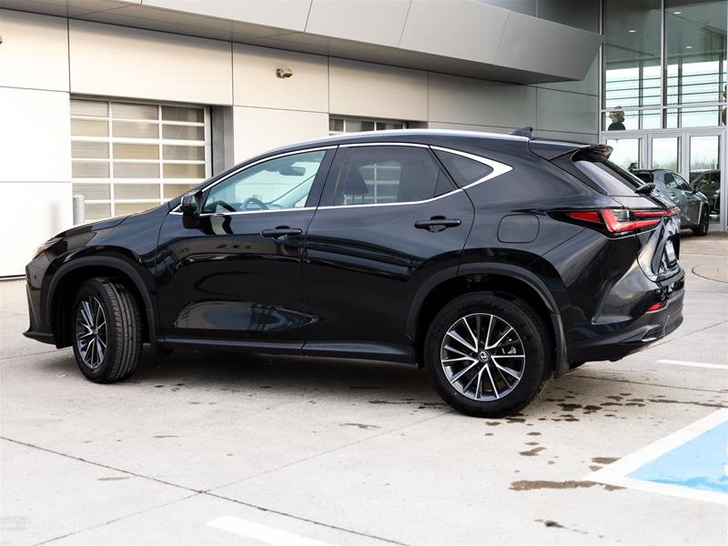 2024 Lexus NX 250 in Ajax, Ontario at Lakeridge Auto Gallery - 11 - w1024h768px