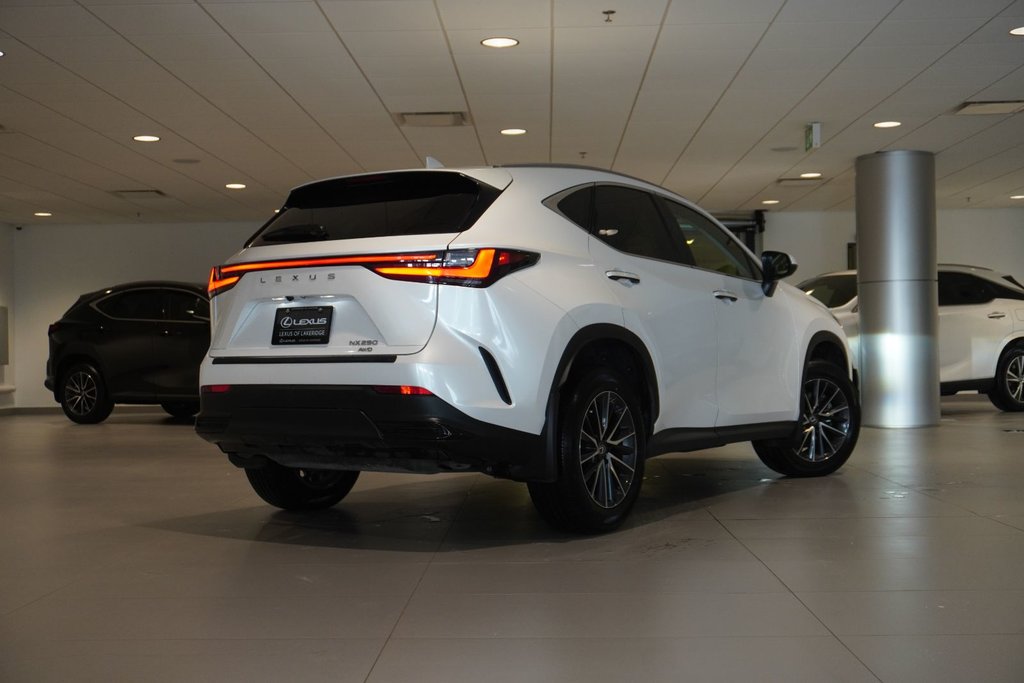 2024 Lexus NX 250 AWD SIGNATURE|9.8DISPLAY|CARPLAY|CAMERA|B/SPOT in Ajax, Ontario at Lakeridge Auto Gallery - 16 - w1024h768px