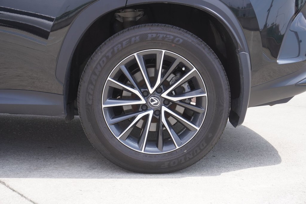 2024 Lexus NX 250 AWD SIGNATURE|CARPLAY|H/STEERING|BLINDSPOT in Ajax, Ontario at Lexus of Lakeridge - 16 - w1024h768px