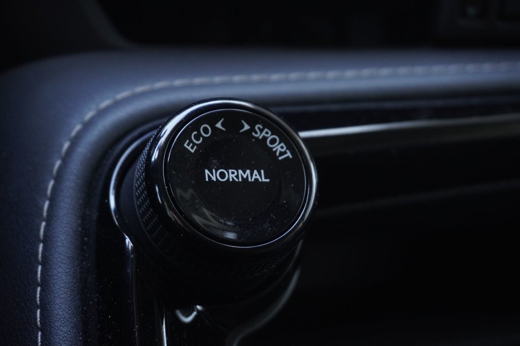 2024 Lexus NX 250 AWD SIGNATURE|CARPLAY|H/STEERING|NAVI in Ajax, Ontario at Lexus of Lakeridge - 6 - w1024h768px