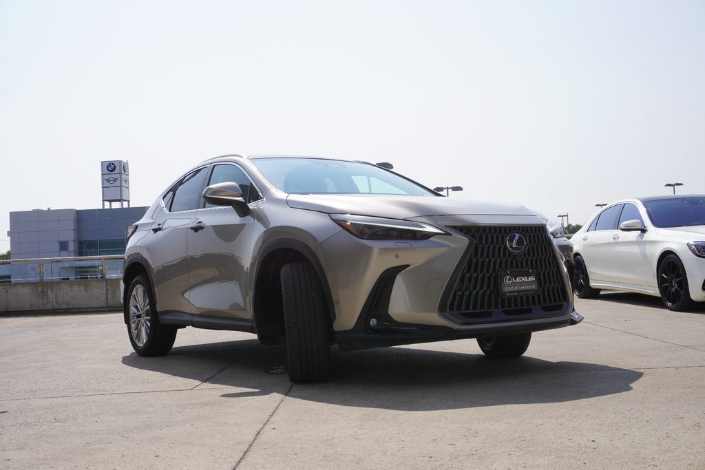 2025 Lexus NX 350 in Ajax, Ontario at Lakeridge Auto Gallery - 23 - w1024h768px