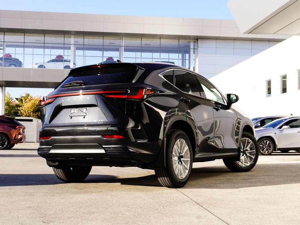 2025 Lexus NX 250 SIGNATURE in Ajax, Ontario at Lexus of Lakeridge - 16 - w1024h768px